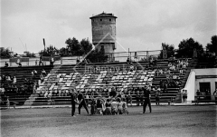 №15
