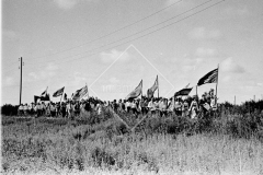 №04