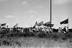 №05