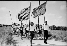 №13
