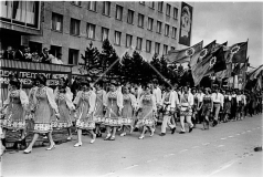№31