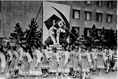 №33
