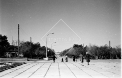 №11
