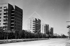 №13