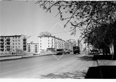 №06