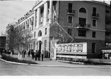 №11