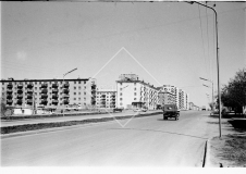 №19