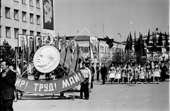 №31