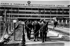 №12