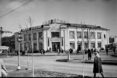 №15