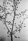 №04