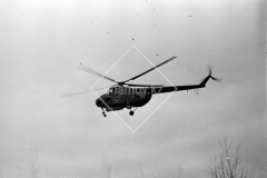№06
