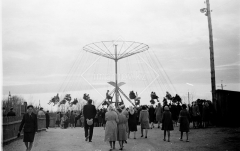 №24