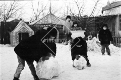 №31