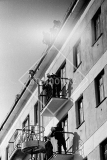 №06