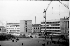 №10
