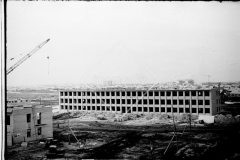 №06