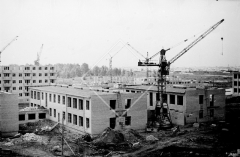 №07