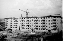 №10
