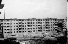 №11