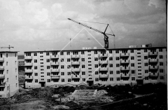 №12