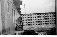 №15