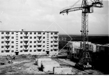 №16