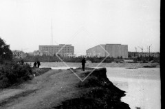 №19