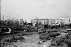 №25