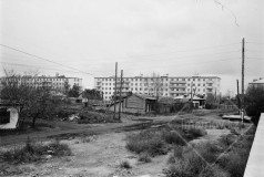 №26