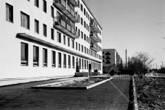 №03