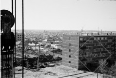 №17