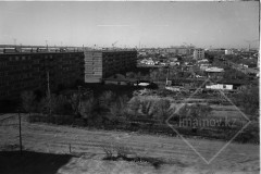 №33