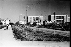 №11