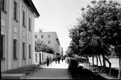 №13