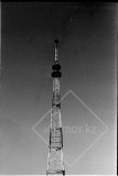 №33