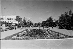 №37