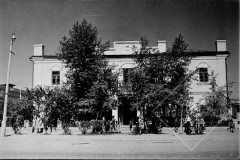 №41