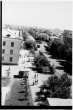 №06