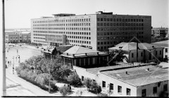 №15