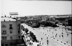 №31В