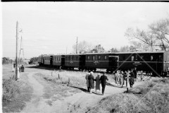 №19