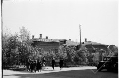 №26