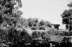 №03
