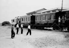 №13