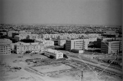 №38