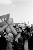 №51