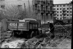 №17
