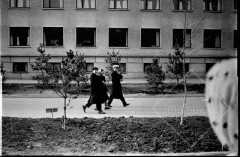 №21