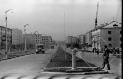 №17